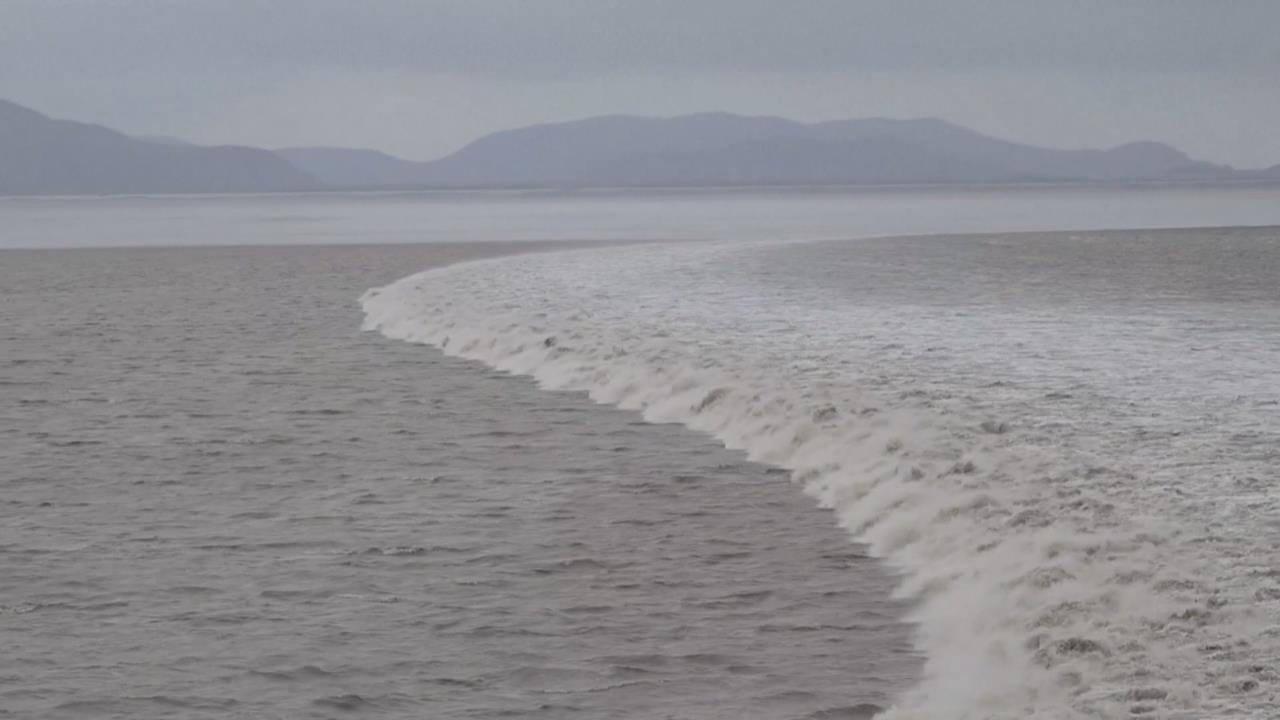 沙德爾助陣錢塘江大潮　中國民眾不怕死又玩命觀浪