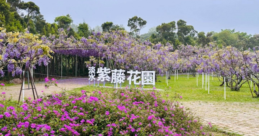 淡水紫藤花園宣布關閉！　創辦人嘆「8年來頻遭檢舉」：壓力太大