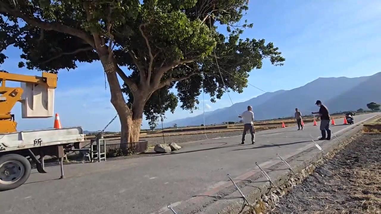 巴威逼近！台東熱氣球撤場、金城武樹加固　綠島環島公路封路防颱