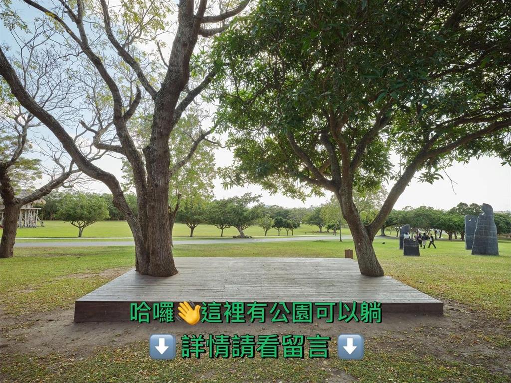 台股大跌！股民哀號　史前館小編邀「一起睡公園」：綠色到底會有奇蹟出現
