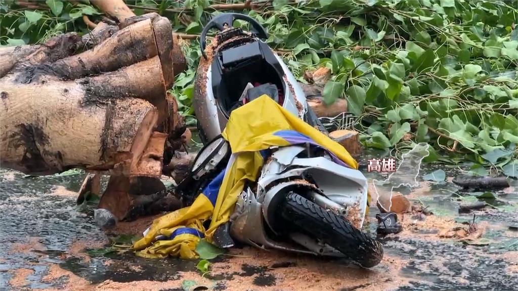 凱米刮強風吹倒路樹　高雄婦人騎車出門被砸中喪命