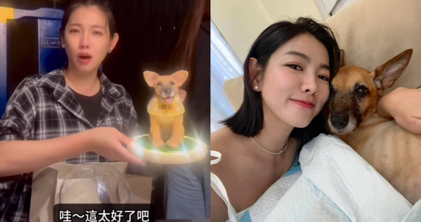 13歲愛犬癌逝！同事1個月後突送「擬真公仔」　米可白當場掉淚：心底最深的思念