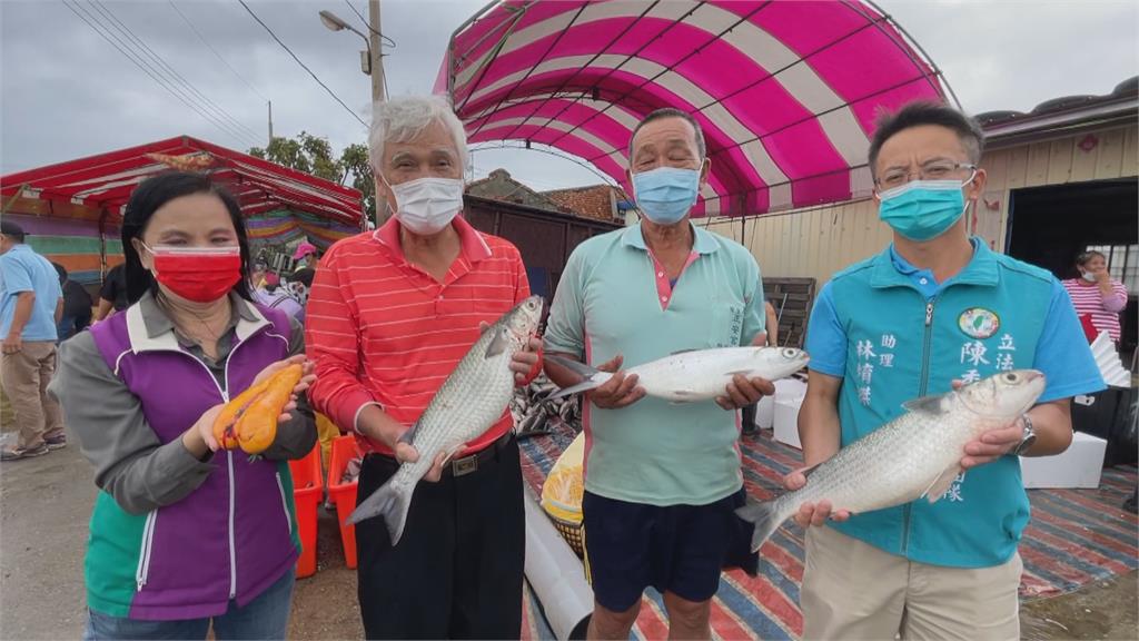 烏魚正肥美！彰化縣搶頭香捕撈4千多尾