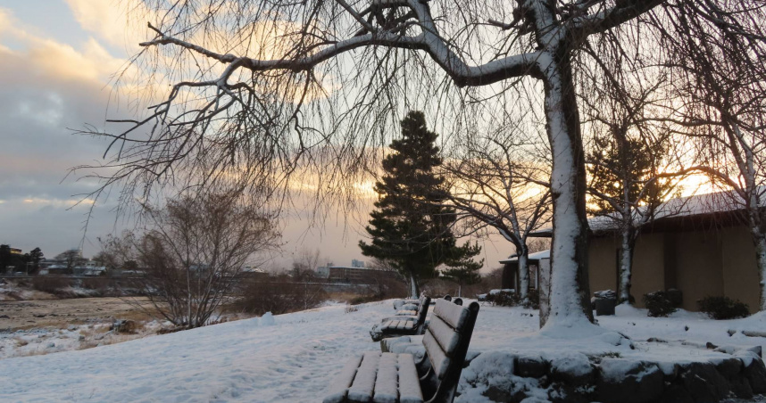 赴日追雪意外跌倒！林氏璧示警「1情況最危險」：小心骨折腦震盪