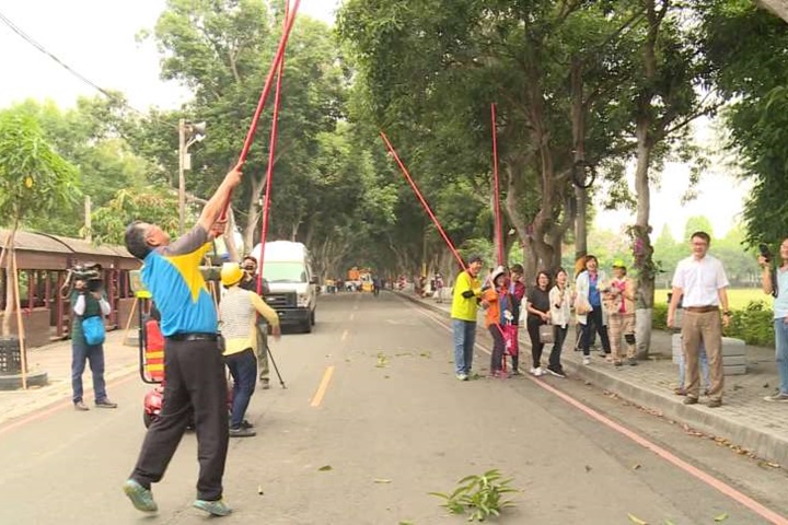 黃澄澄芒果雨！這裡可以免費「打芒果」回家