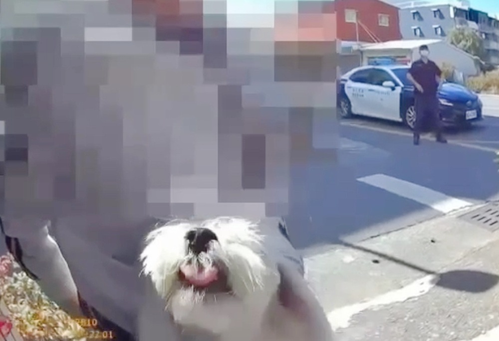 女車手帶愛犬收詐款　警逮捕無辜「毛小孩」上警車