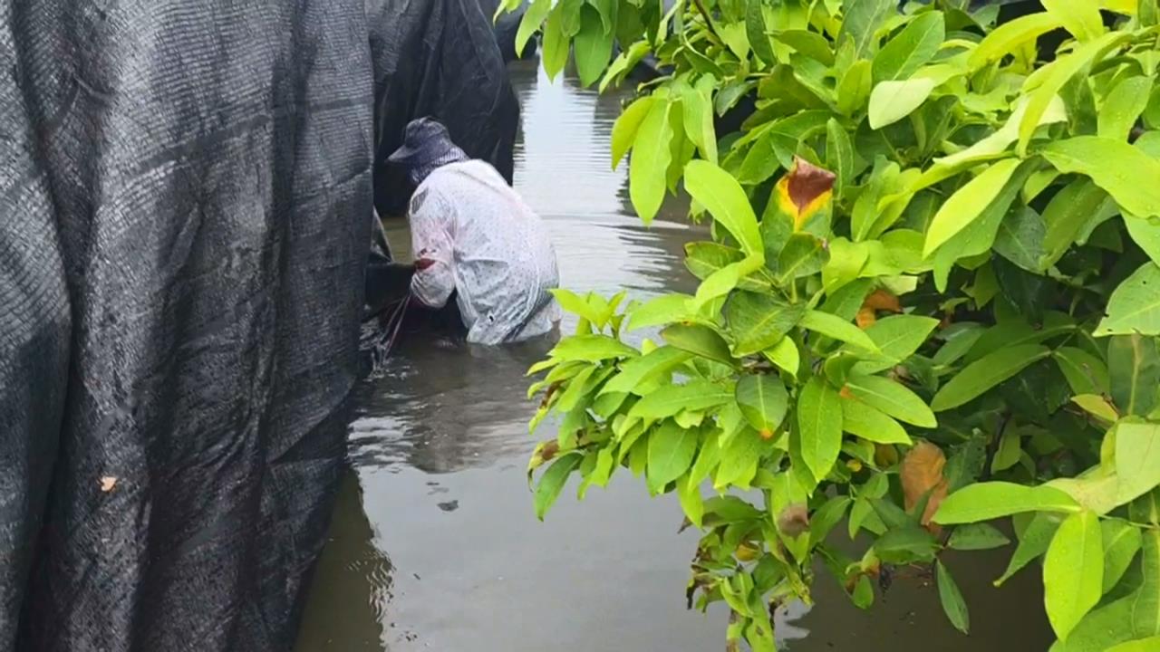 南部持續豪雨釀災! 高雄.屏東多地再傳積淹水