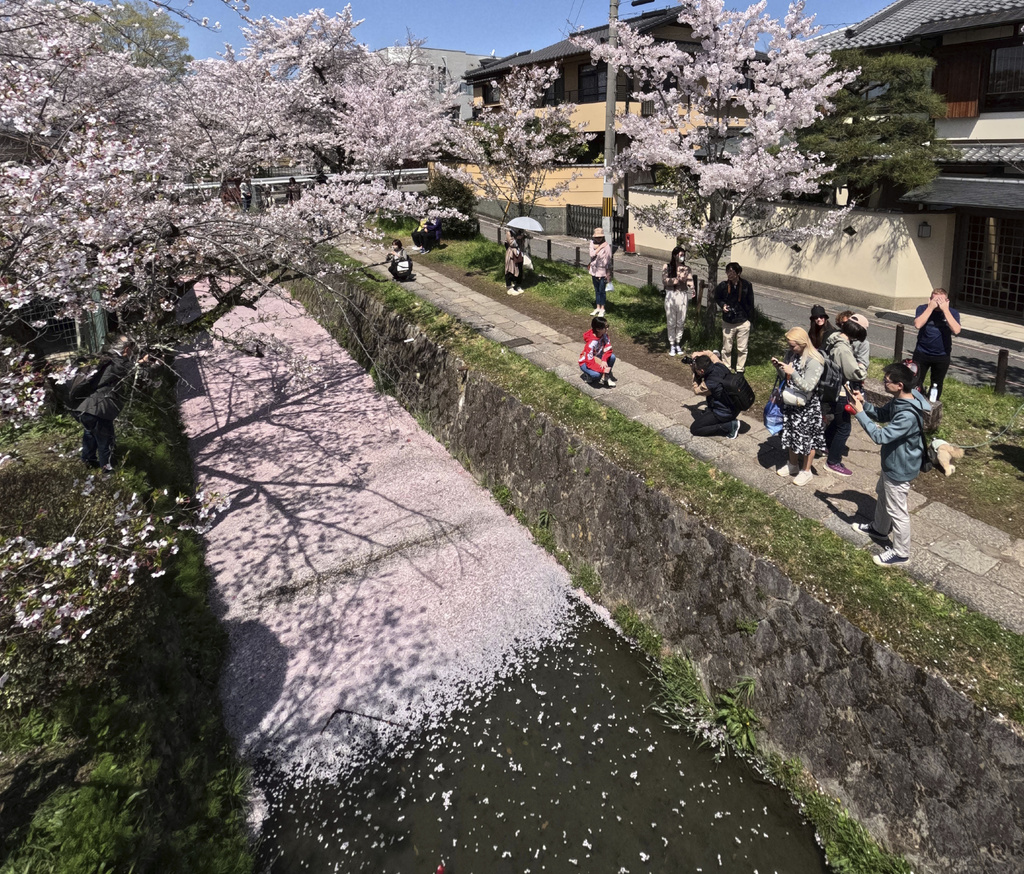 爆量遊客帶來垃圾問題　京都增設上百垃圾桶竟造成「反效果」
