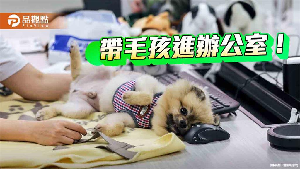 迎接國際帶狗上班日 高雄舉辦人寵共學營