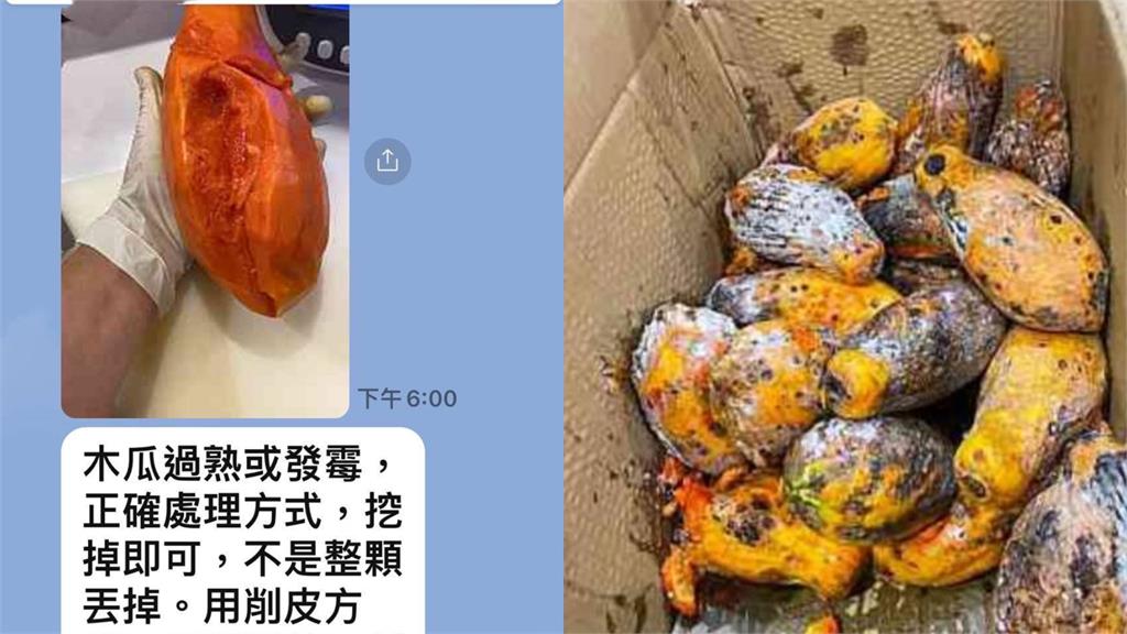 控日春用「發霉爛木瓜」惹禍了？爆料者急發「不自殺聲明」：有人找黑道處理