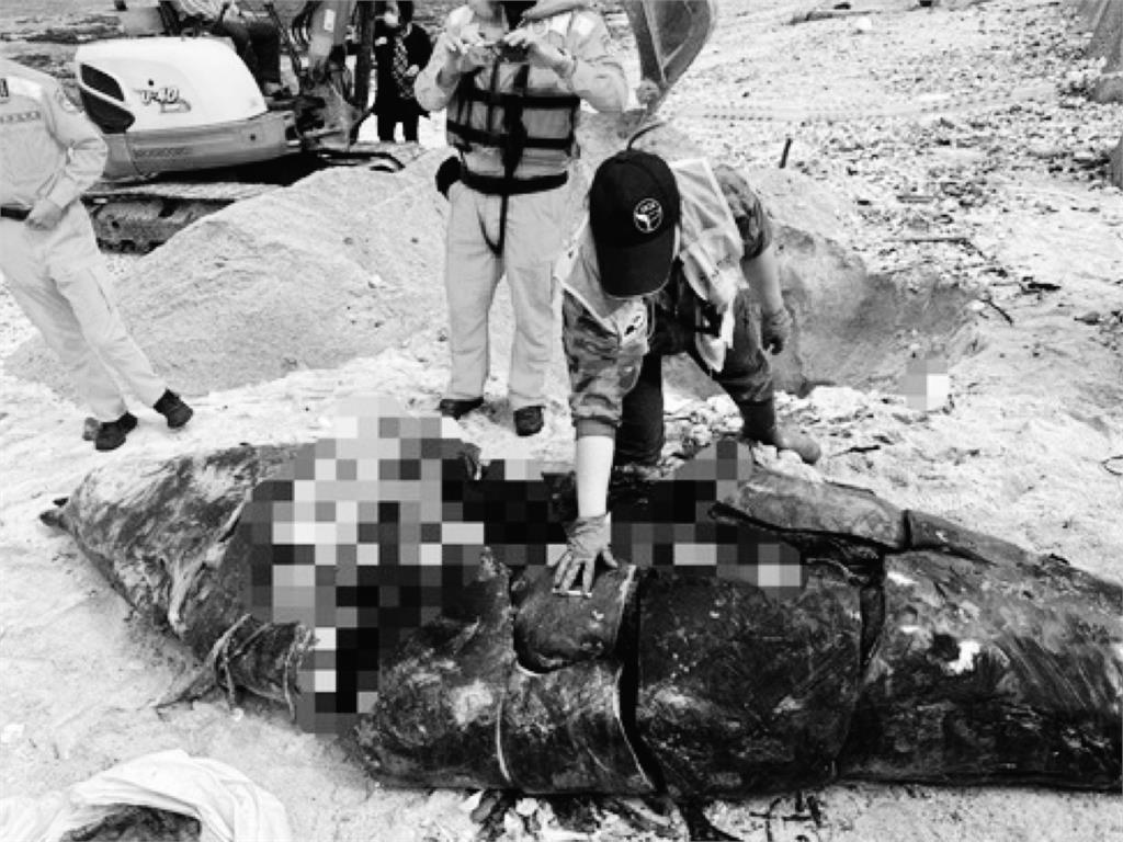 快新聞／殘忍！保育類鯨豚遭切割　部分肉塊被裝進飼料袋丟海邊