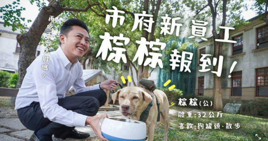 市府犬淪「道具狗」？棕棕遭退回收容所掀爭議　動團痛批林智堅棄養踐踏動保原則