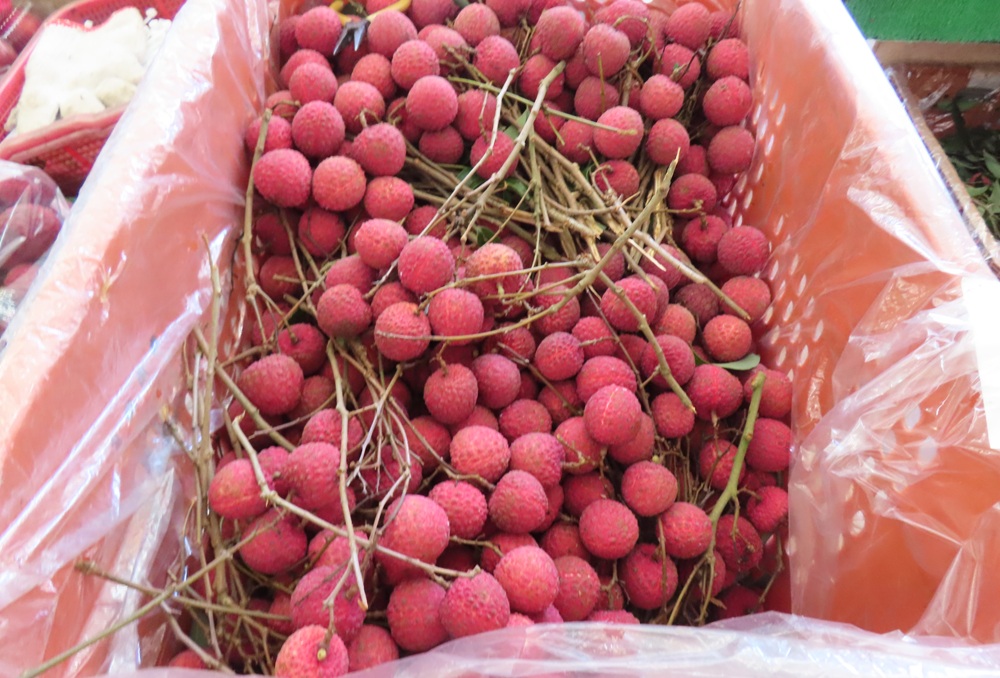 新北抽驗中元節應景食品97件　桂味荔枝檢出農藥殘留
