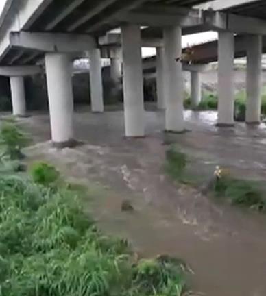 暴雨炸台中!烏溪暴漲 釣客受困沙洲警消垂降救援