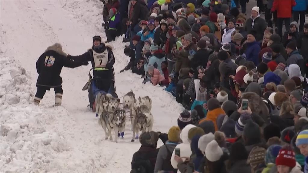 美國雪橇犬大賽開跑！狗狗穿螢光小襪超Q模樣防凍傷