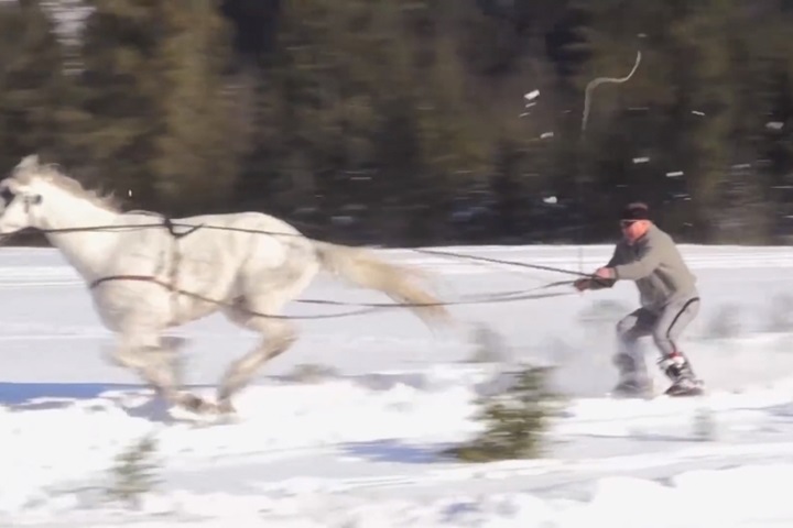 馬拉雪橇載人飆速 「拖曳滑雪」時速80公里