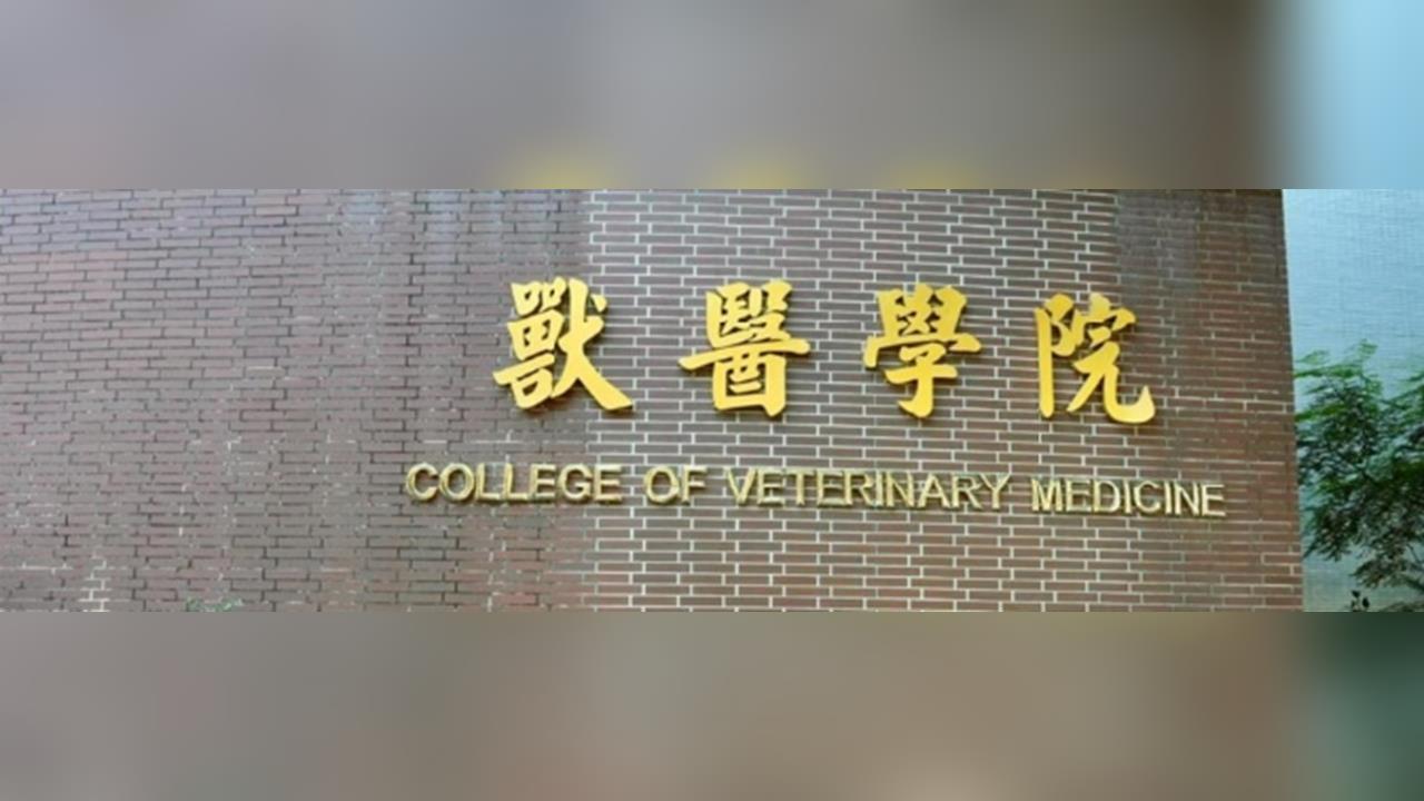 AI科系夯之外另一匹黑馬　獸醫系搭上毛孩商機