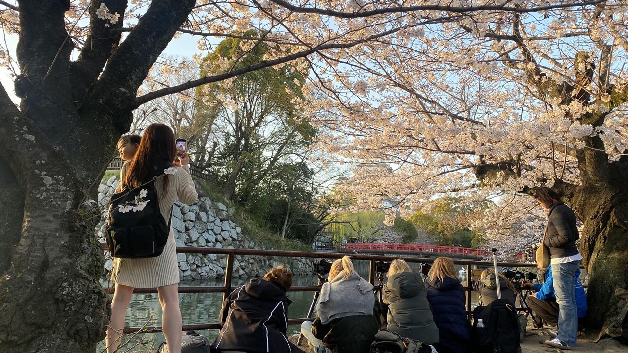 快新聞／惠台政策？中國續抵制日本旅遊　虎航「米子空港」包機延長