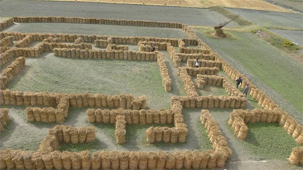台東新景點！關山打造「巨型稻草迷宮」 收割後稻稈再利用 兼顧環保拚觀光