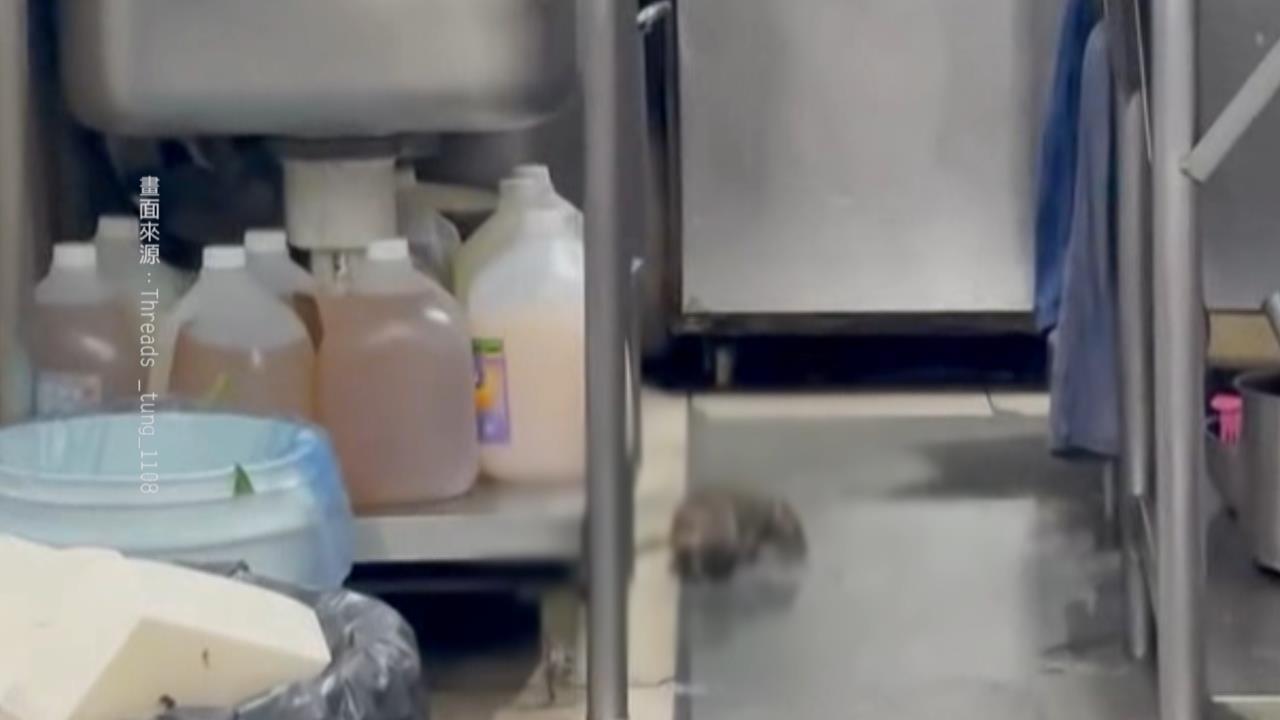 大肥鼠廚房覓食趴趴走 網友目擊嚇壞