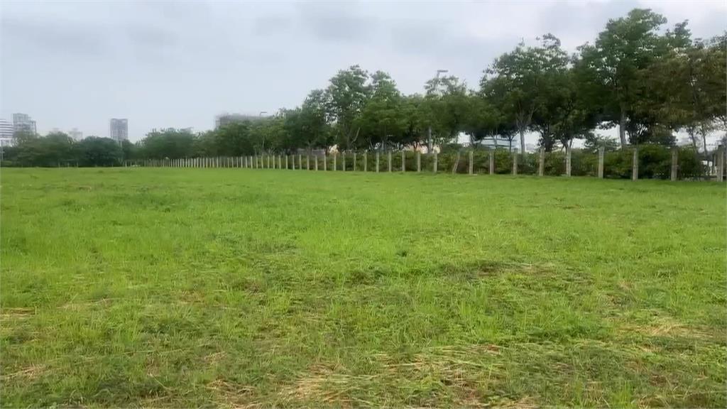台中"超級蛋"來了　　盧秀燕宣布大巨蛋將落腳水湳經貿園區