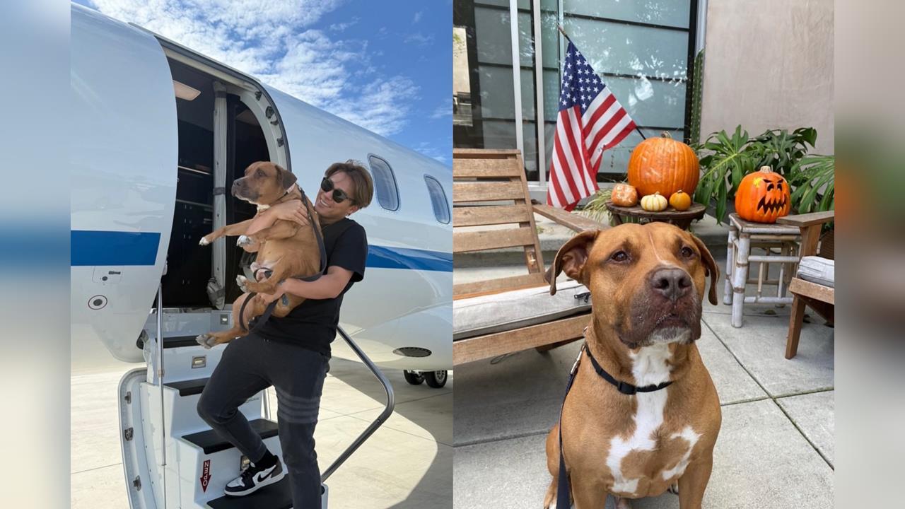 MLB(影)/山本由伸秀愛犬「卡洛斯」!去年8月收養的流浪狗現在跟他一起坐飛機