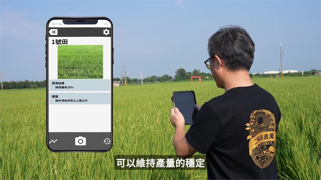 農業再進化　興大團隊開發平台生產AI低碳米
