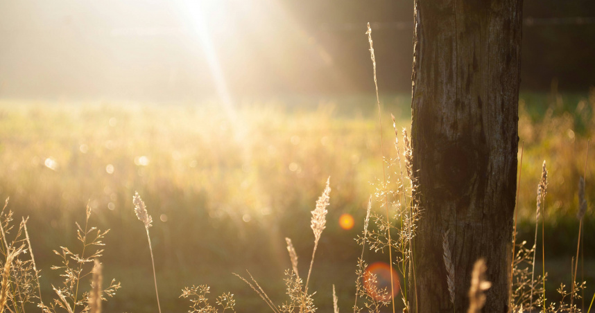 2026年快到了！4星座將迎10年好運　事業財富兩手抓