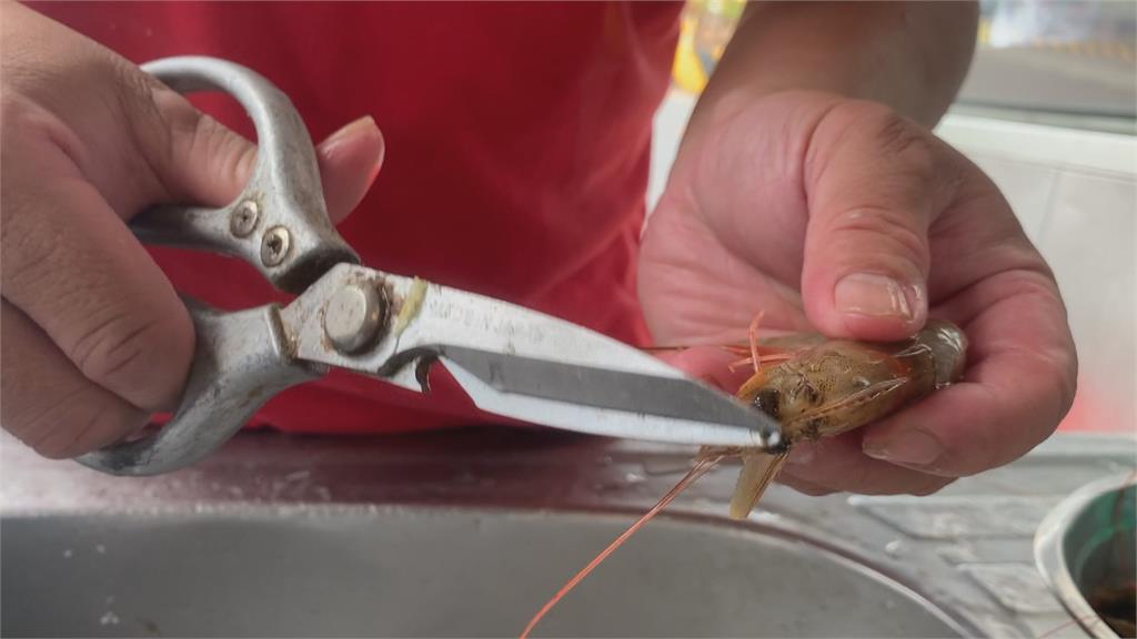 餵鴨海鮮飼料遭甲殼類刺傷　老翁染海洋弧菌引發敗血症截肢保命