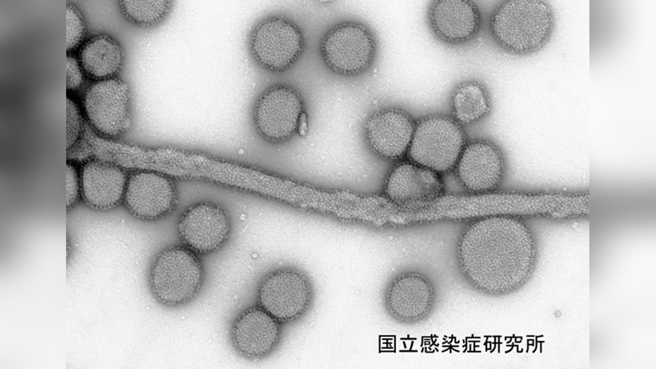 旅日注意！ 日本流感疫情蔓延 東京等地發布「流行警報」