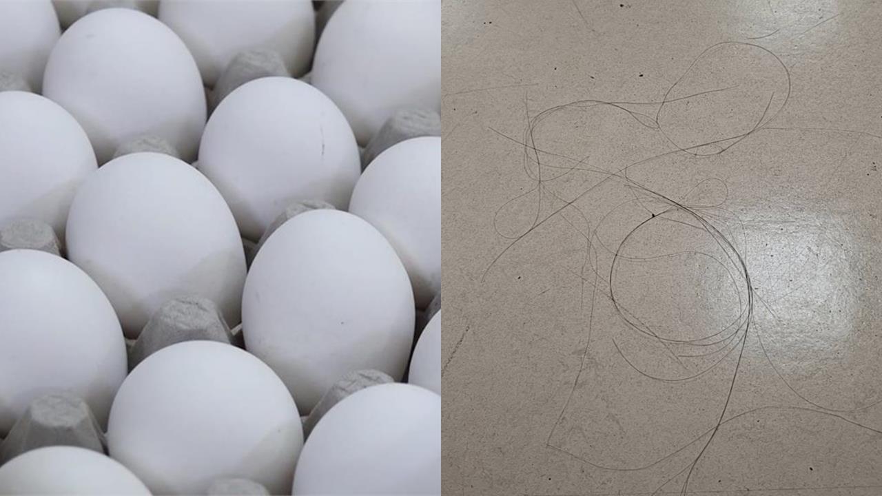 中國煮蛋網紅自曝5年「日嗑40顆雞蛋」！營養師示警：「1情況」恐大量掉髮