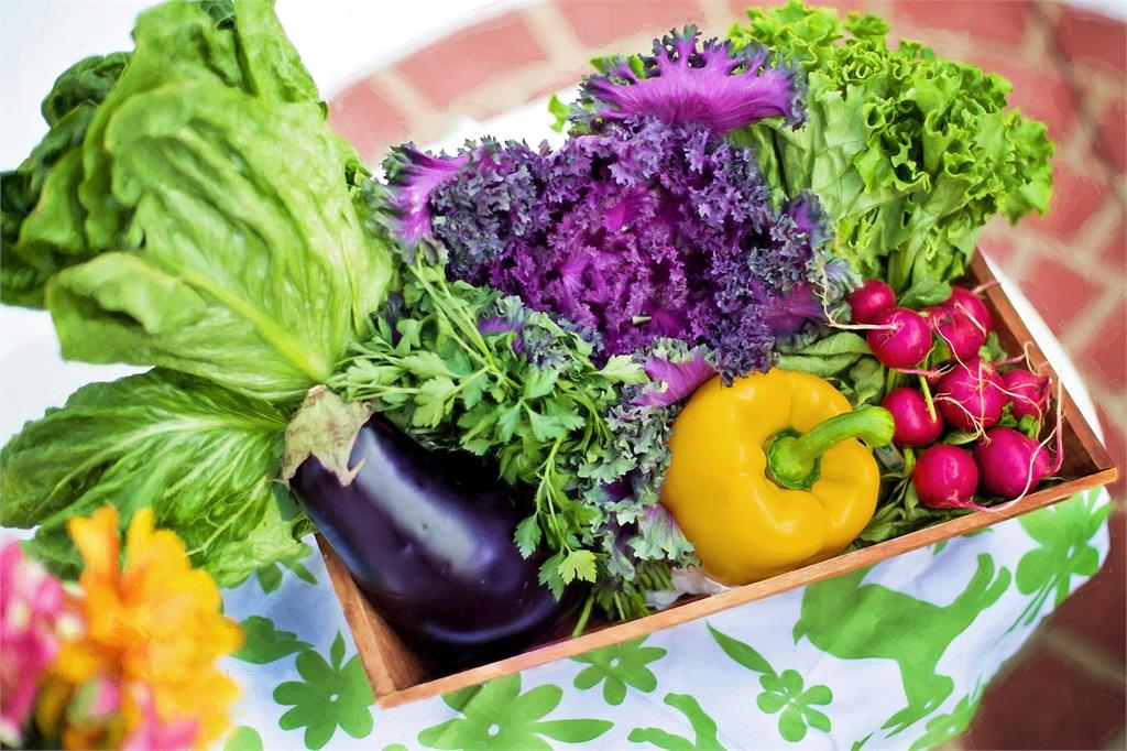 防疫在家想買菜？北農大推這5種蔬果　產量穩定又營養健康