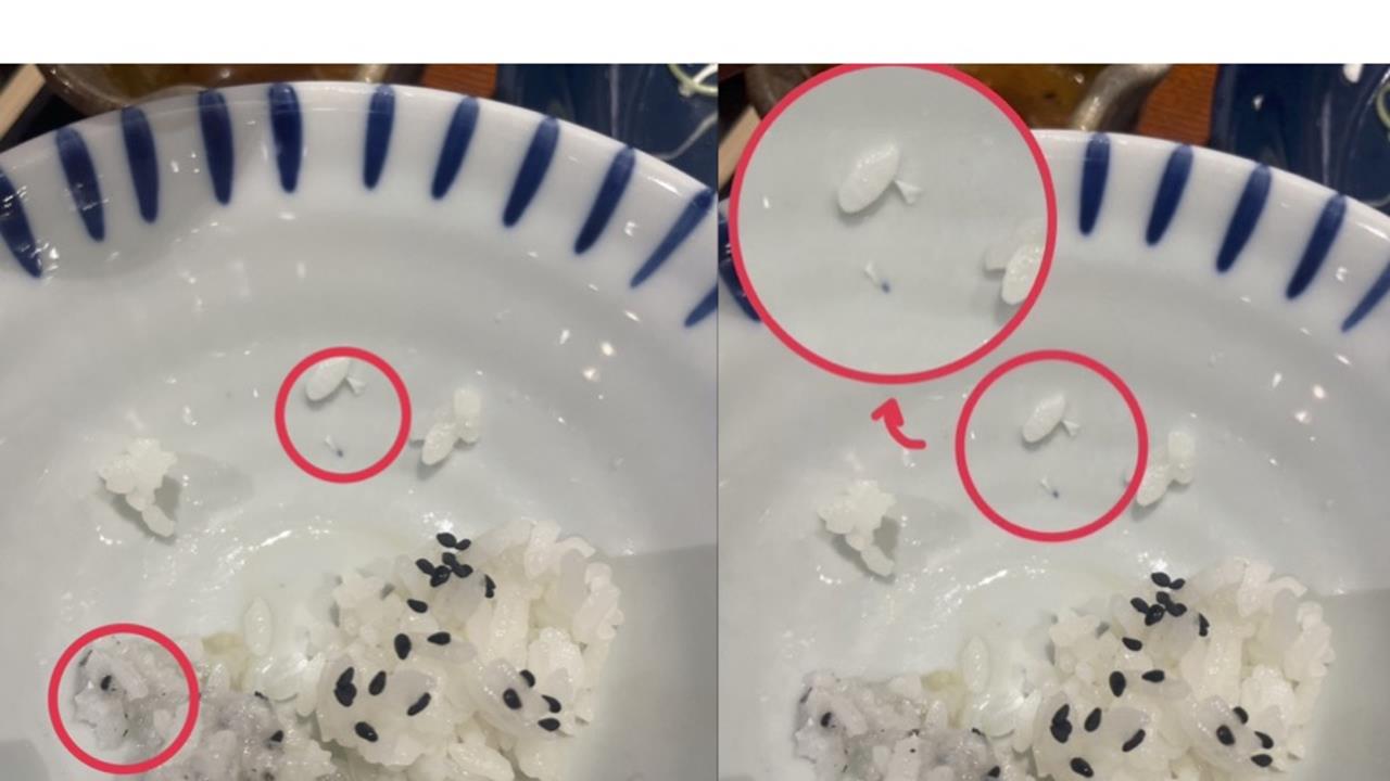 台中日式定食「吃到疑陶瓷碎片」　家長、孩子口腔刮傷！業者致歉