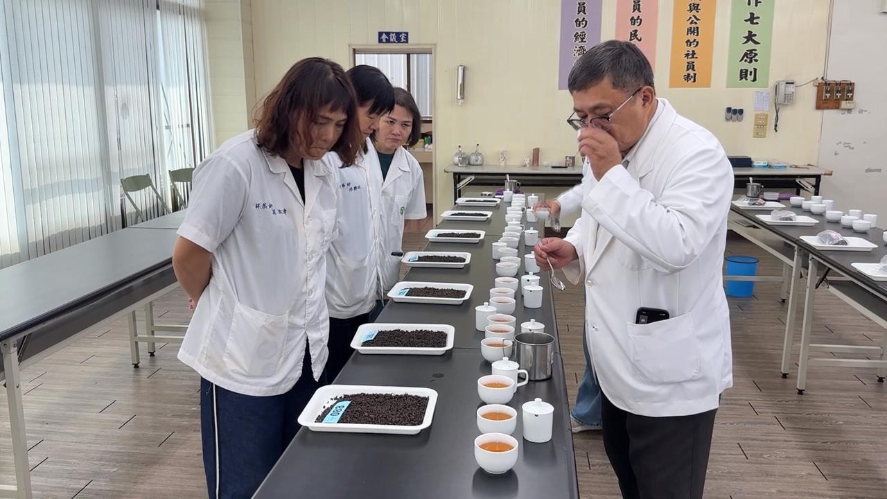 100克8千元！　南投鹿谷首辦紅茶比賽　小葉種紅茶拿下茶王獎