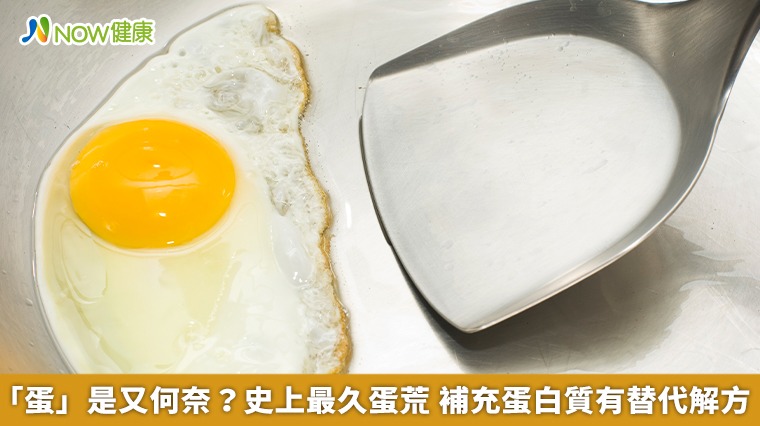 「蛋」是又何奈？史上最久蛋荒　補充蛋白質有替代解方