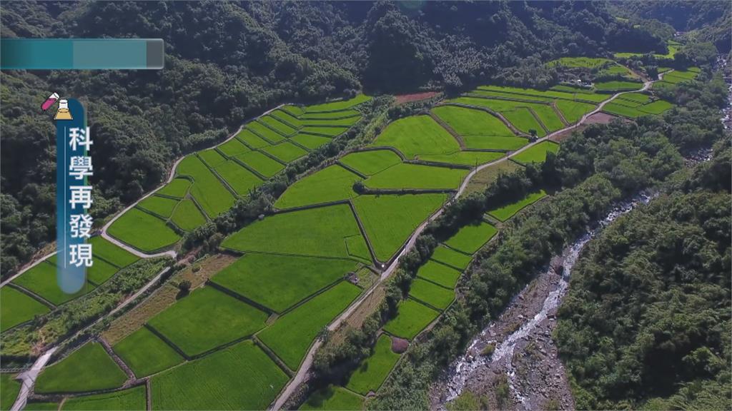 全球加速暖化　曬田及省水成重要關鍵