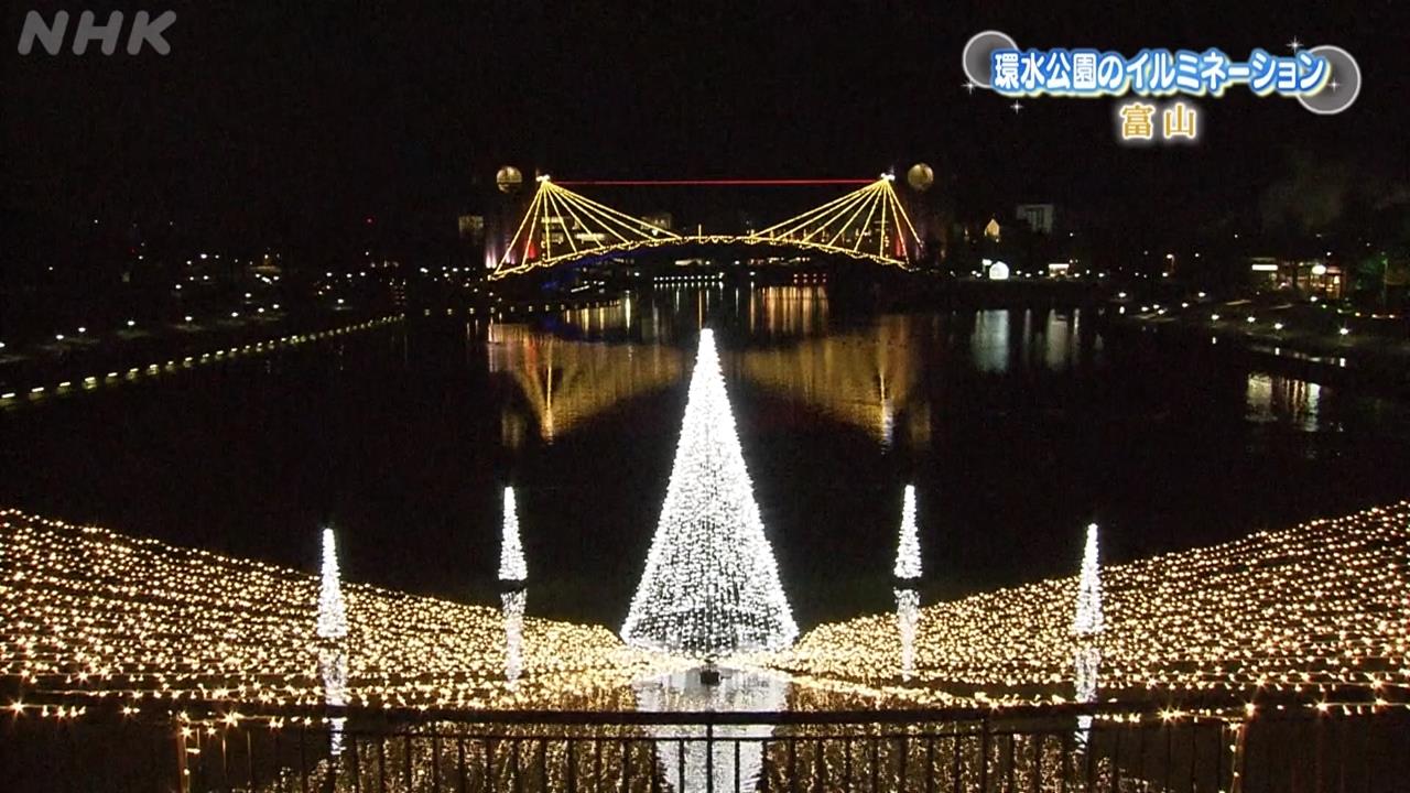 年關將近！水族館用「電鰻發電」點亮耶誕樹　富山運河夢幻燈海過耶誕