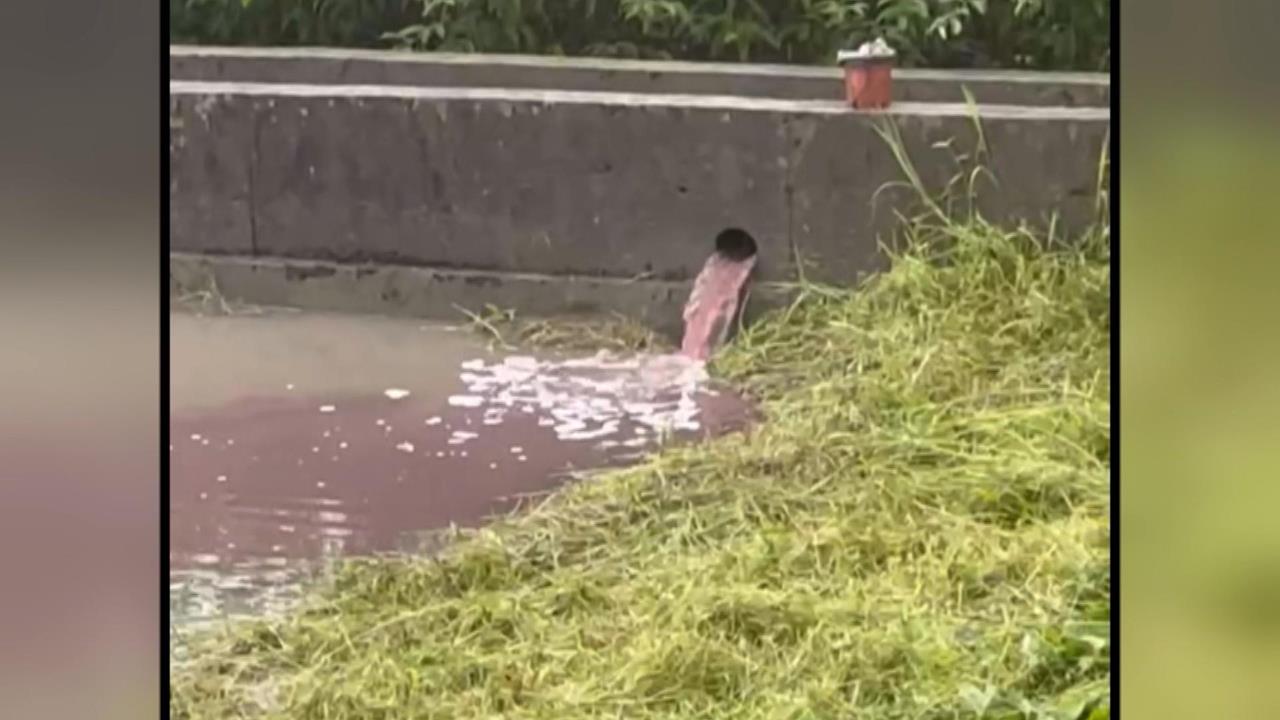 宜三星鄉紅色與綠色髒水流入農田中　外籍移工將「這玩意兒」倒入水溝