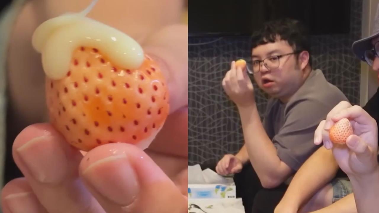 力推日本超市「白草莓」　他讚喊：不吃草莓的人也能接受