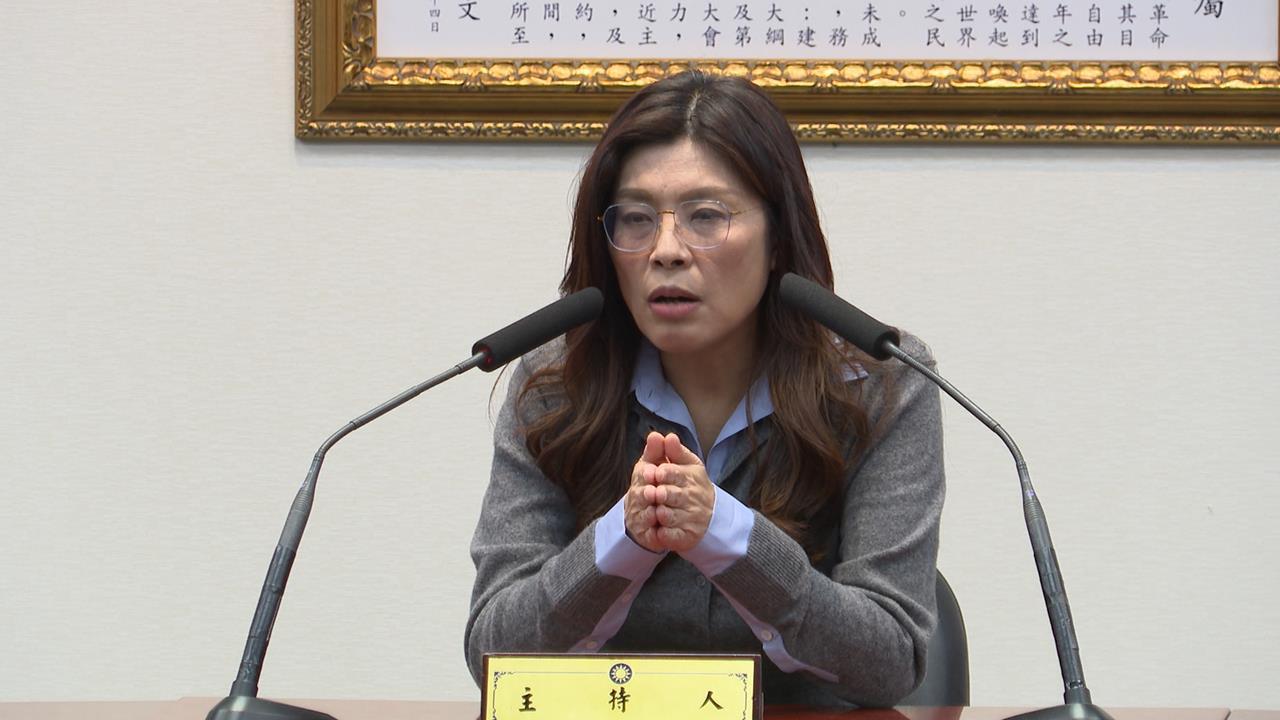 鄭麗文14人訪美團「排場如選總統」！遭爆要僑胞「落地招待」…基層嗆：實在說不過去