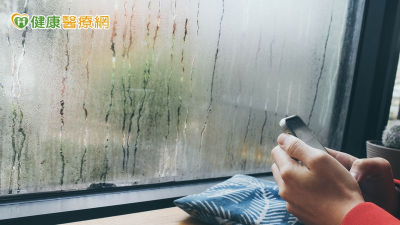 梅雨濕氣纏身難清爽　「體內除濕機」失靈恐影響身體狀態