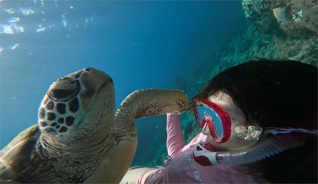小琉球旅遊 – 出發吧！去琉球與海龜相遇