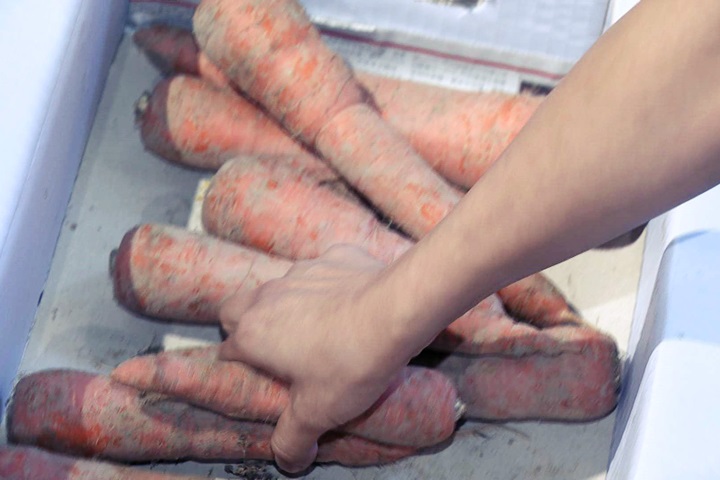 新北惜食網 2年分享69萬公斤蔬果