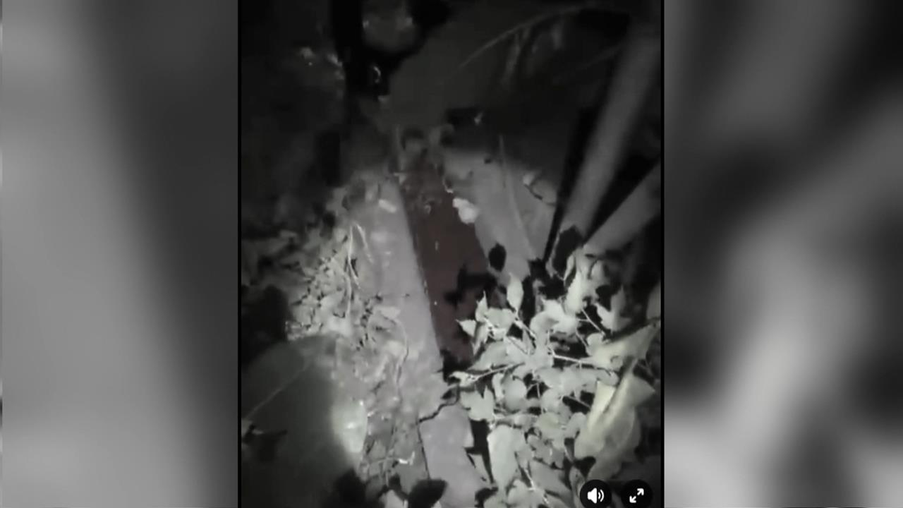 泰山屠宰場「深夜排放血水」　工廠最高將裁罰2千萬