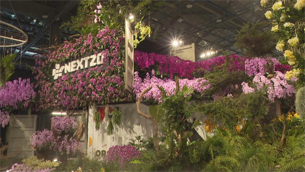 台灣國際蘭展在台南！　賴總統宣布第二期蘭花園區如期推動