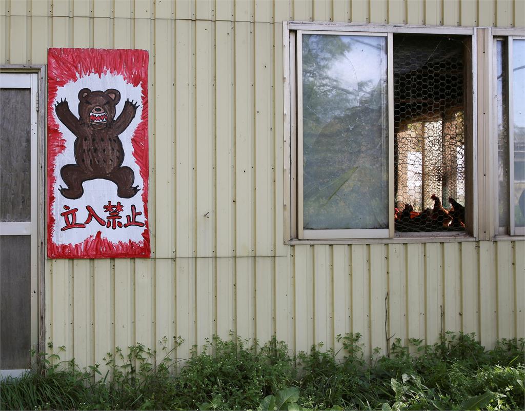 日本福島有熊闖民宅霸占暖爐　屋主嚇壞急通報捕熊「下場曝」