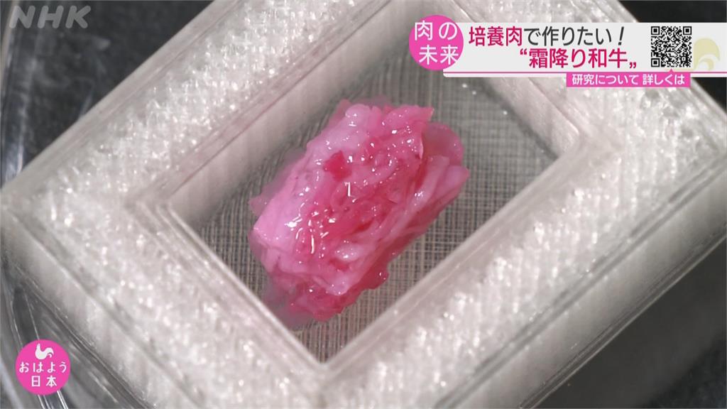 日大阪大學最新研究 3D列印人造霜降和牛肉
