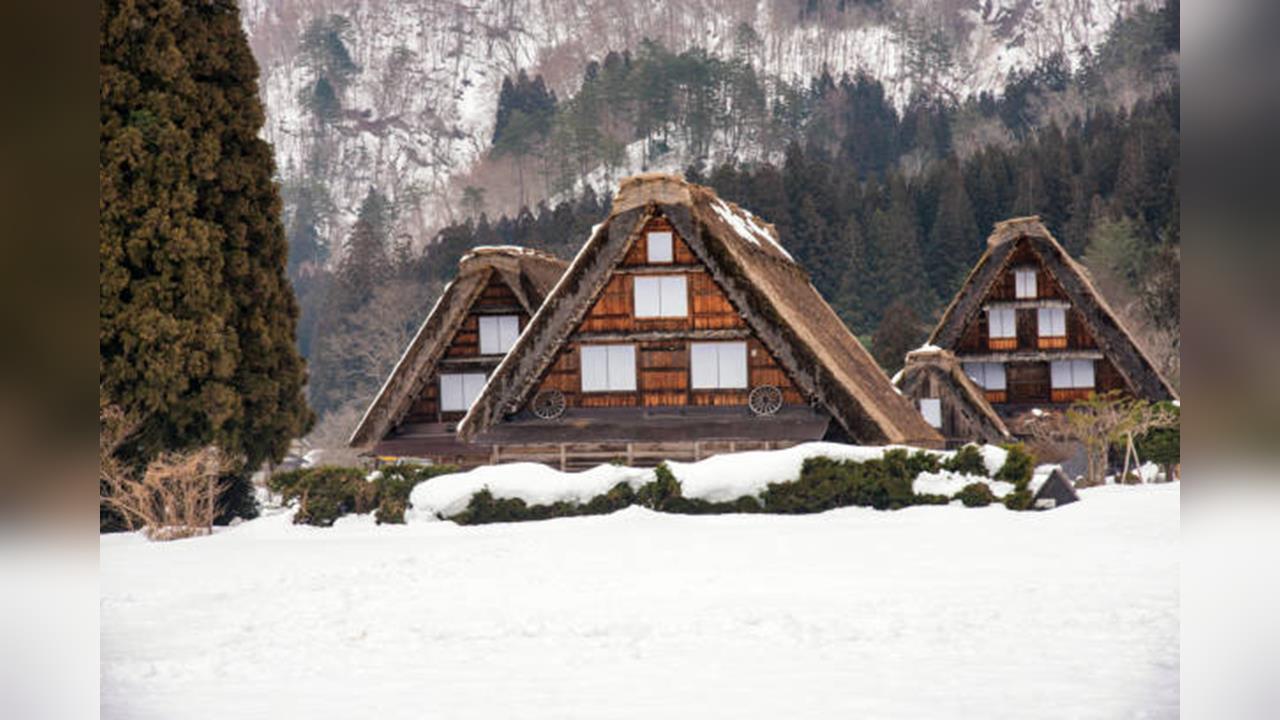 日本岐阜世遺「合掌村」 發生野熊攻擊西班牙遊客