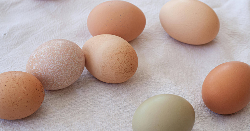 早餐不是吃清淡就好！醫揭「3大地雷組合」　牛奶配蛋竟上榜