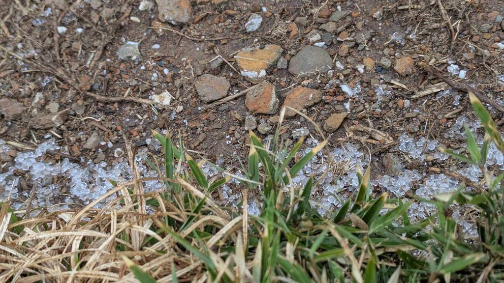 合歡山松雪樓下冰雹　落地彈跳腳邊遊客一陣驚呼